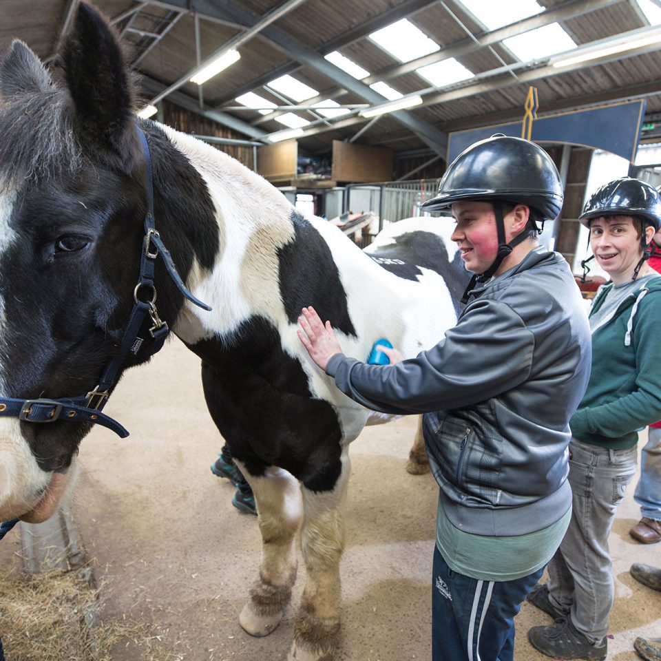 A brown and white horse in a riding stables being stroked and groomed by a group of guests wearing riding hats