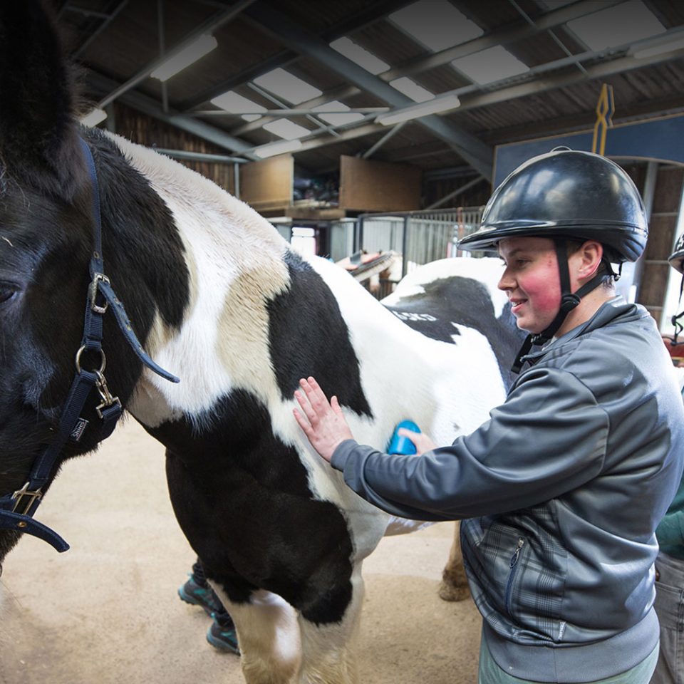 Black and white horse being stroked and groomed by group of people wearing riding hats in the stables at Calvert Trust Exmoor