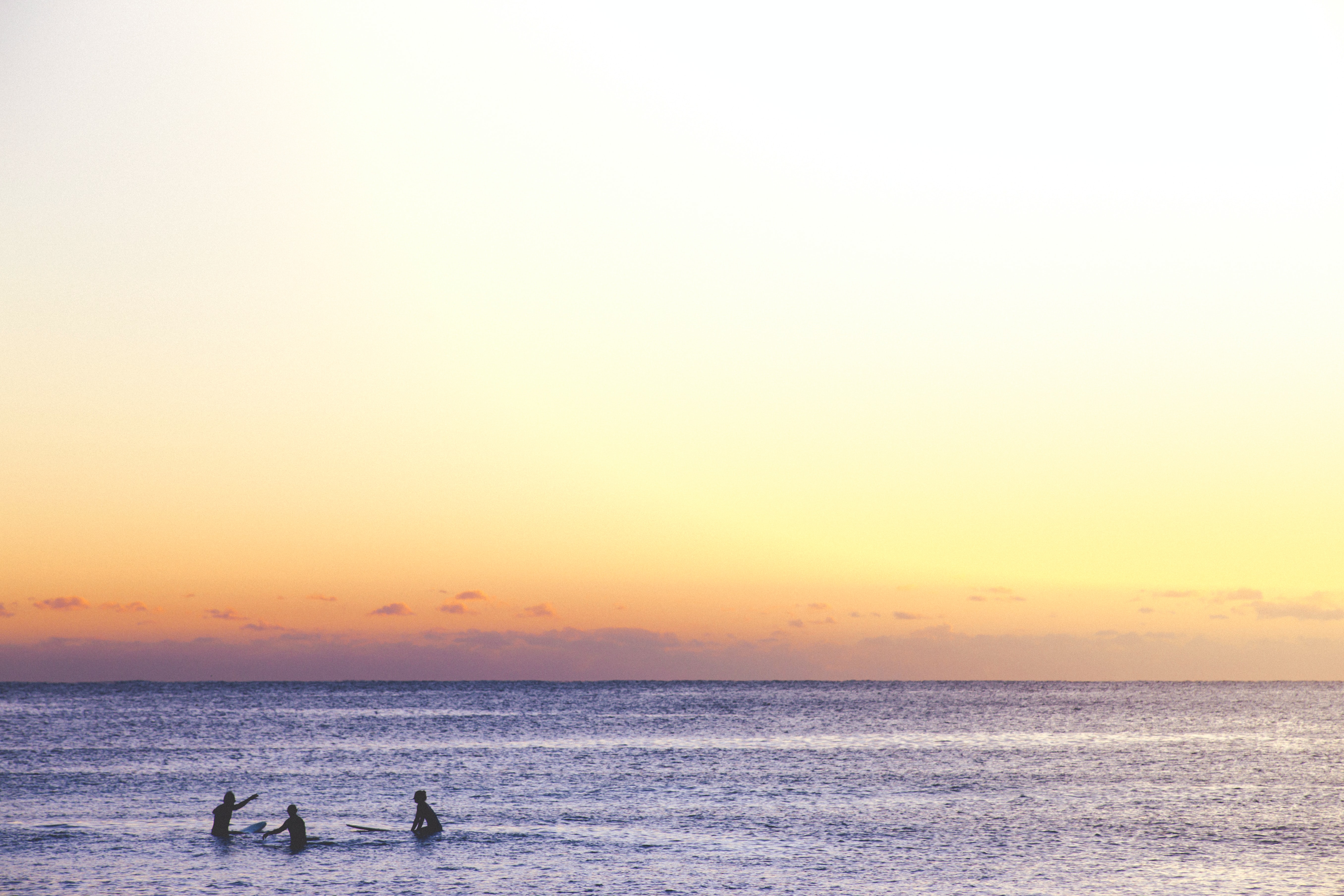 A group of surfers on a calm ocean