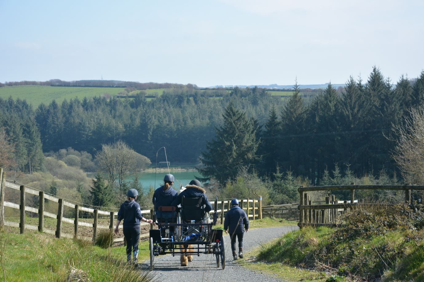 The horse-drawn carriage at Calvert Trust