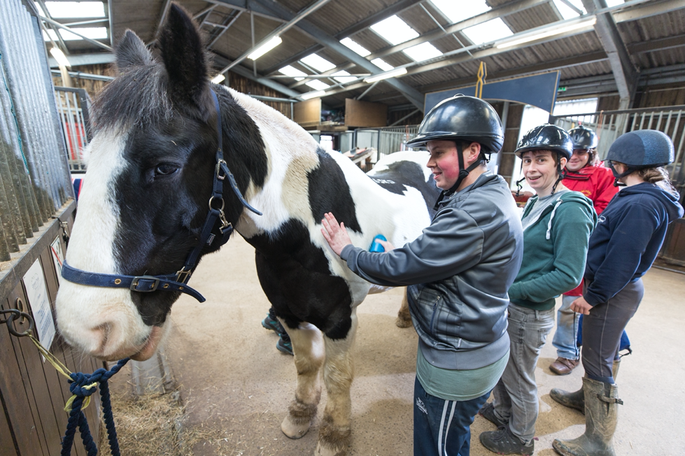 Calvert guests petting a horse