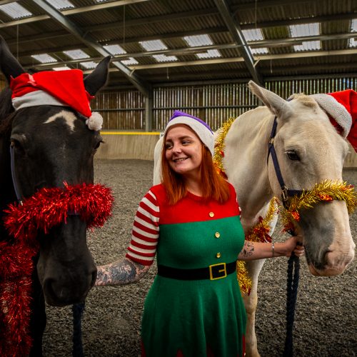 A smiling lady in an elf costume inbetween a black horse and a white horse wearing tinsel and Santa hats