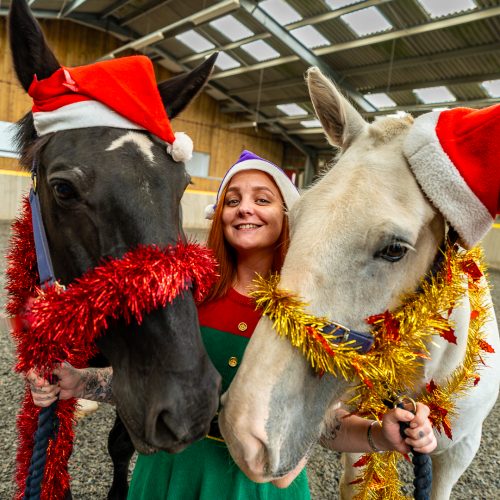 A smiling lady in an elf costume inbetween a black horse and a white horse wearing tinsel and Santa hats