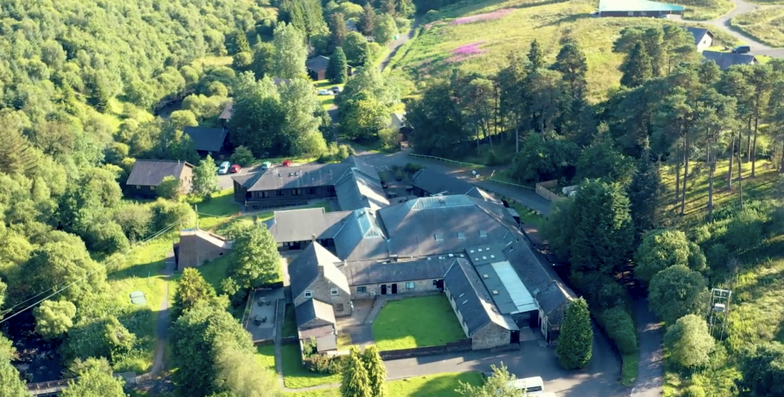 An aerial image of buildings surrounded by trees