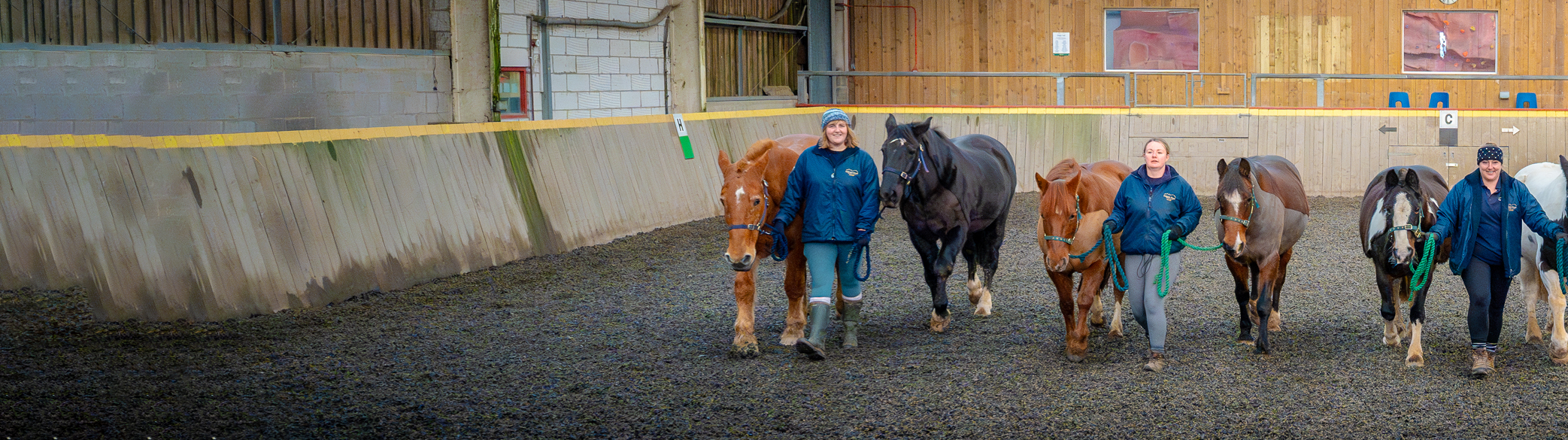 A wide-angled image of the indoor arena at Calvert Exmoor's Equestrian Centre. Three members of staff are walking and smiling towards the camera, holding a horse on either side of them.