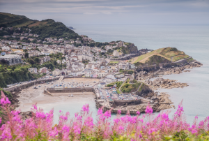 An aerial view of Ilfracombe town, with pink flowers in the foreground and sea surrounding the land.