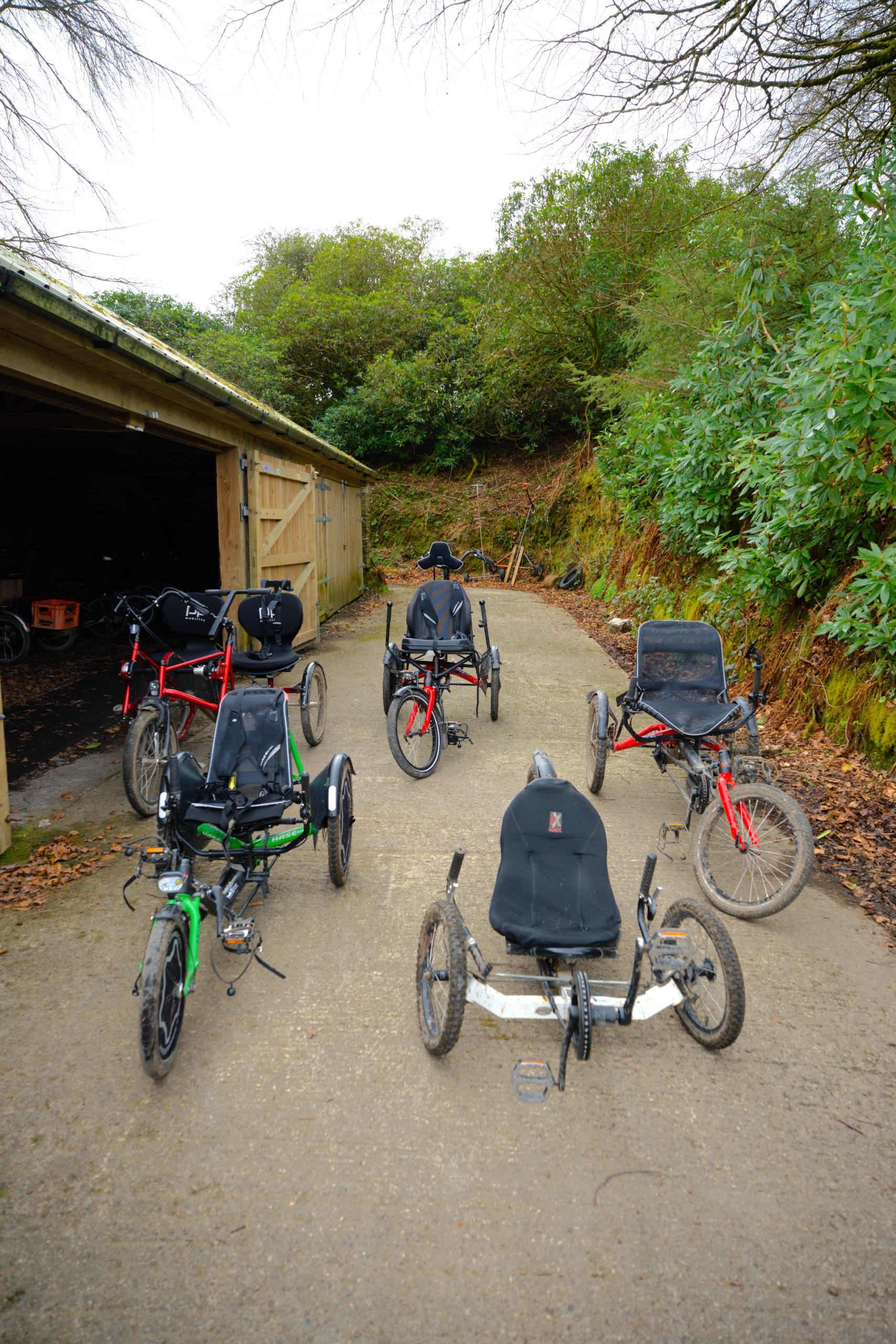 A selection of accessible bikes on a paved area with a shed to the left of these bikes.